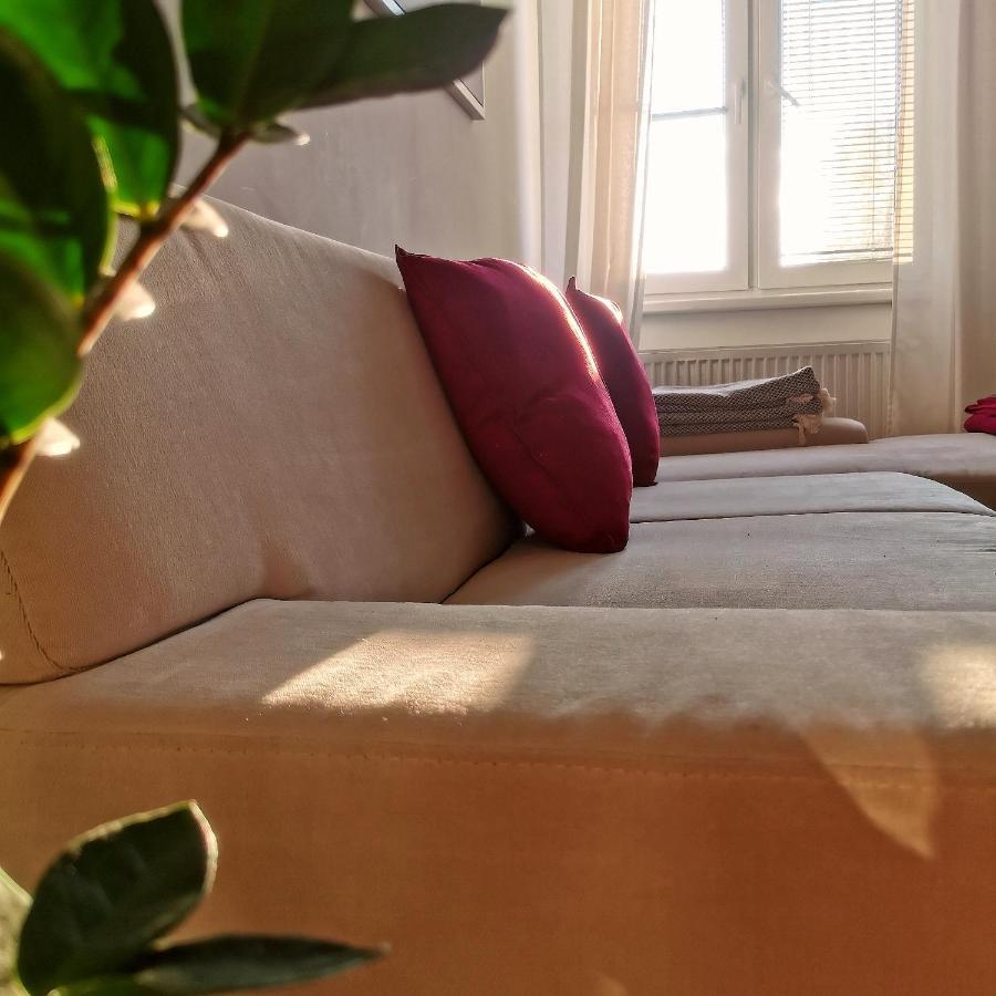 Cozyhome In Old Town, Presidential Apartment Bratislava Dış mekan fotoğraf